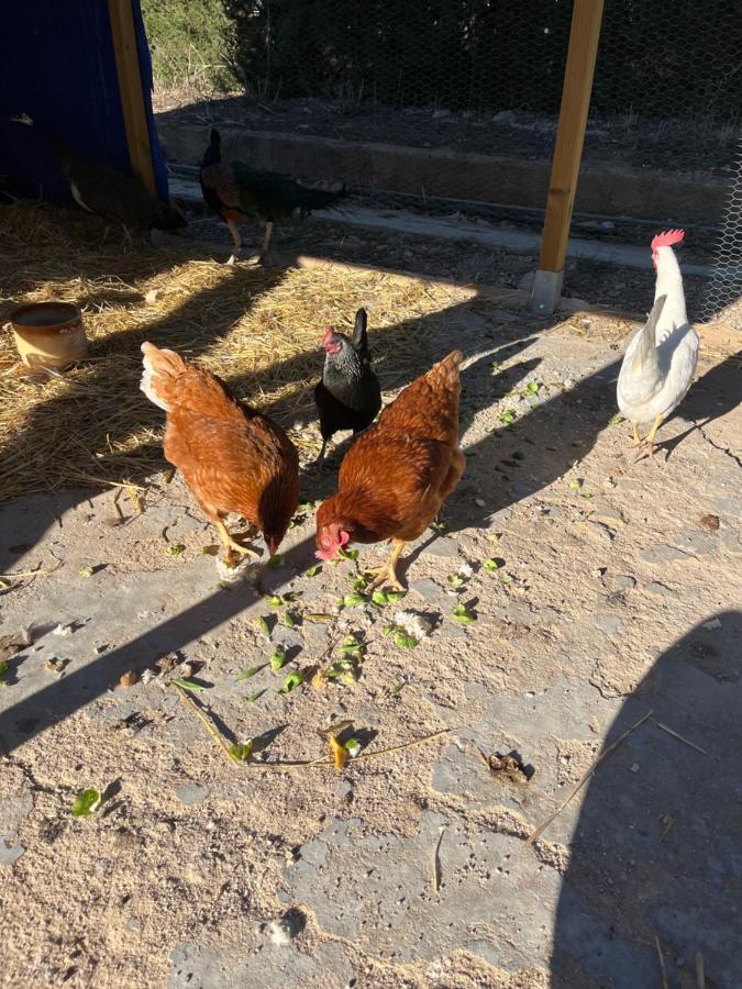 Casa Rural Finca Juanamare Йекла Екстериор снимка